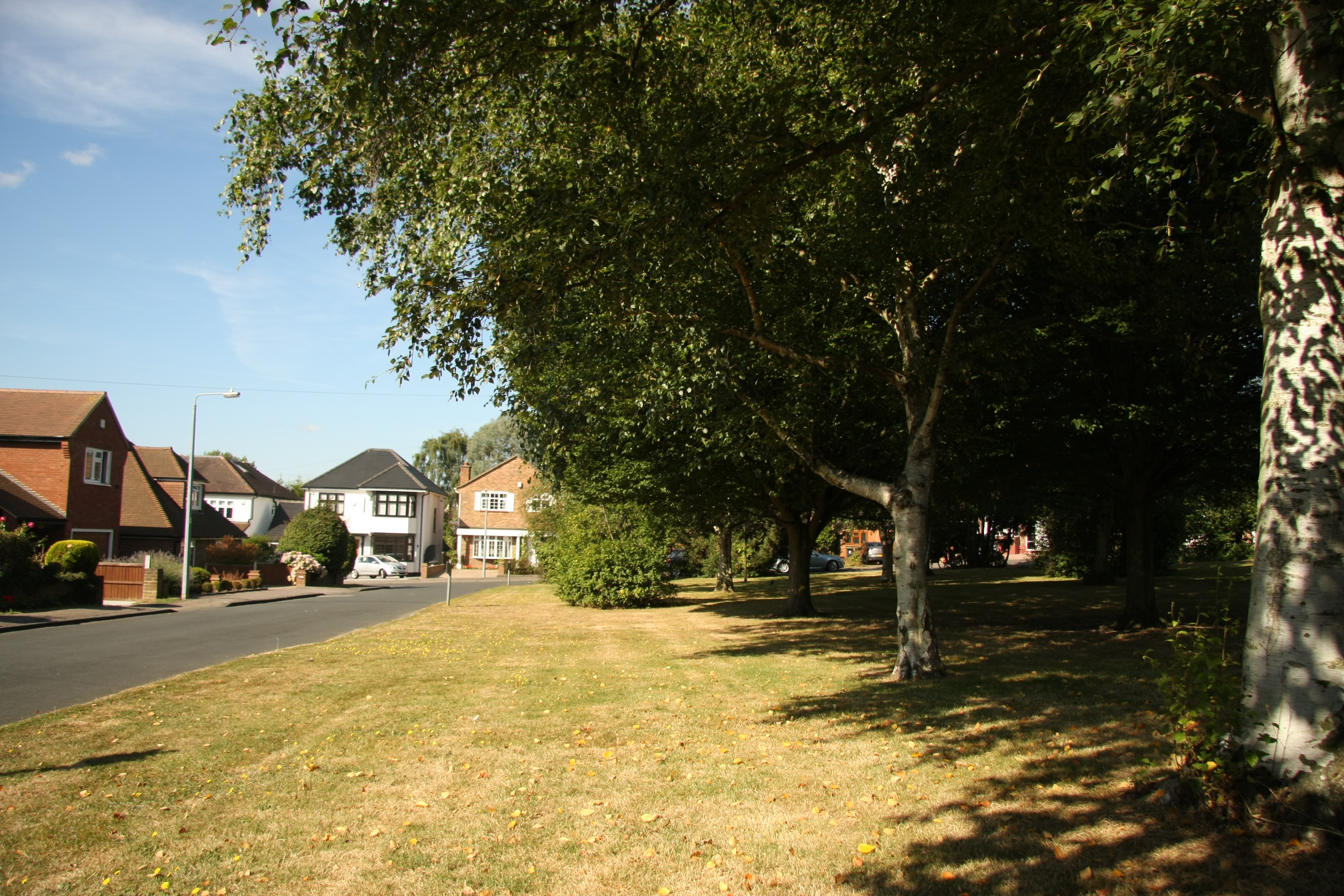 lee grove 01.jpg